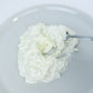 Stracciatella